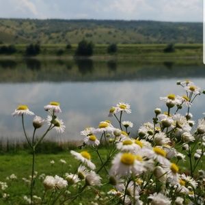 Meet your Posher, Arina